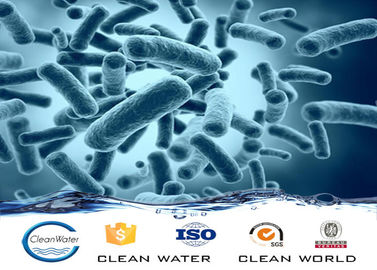 Water Treatment Bacteria Aerobic bacteria agent Powder For Wastewater Treatment