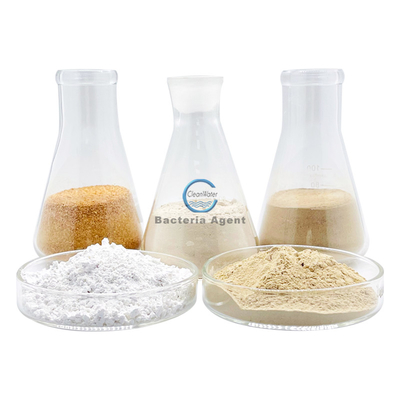 ETP Chemicals Microbes For Sewage Treatment Powder Bacteria Agent
