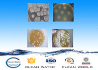 Sewage Treatment Process Bacterial Agents , Bacteria In Sewage Treatment