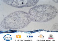 BV ISO 8 ℃ - 60 ℃ Anaerobic Bacteria Agent Powder For Water Waste Treatment
