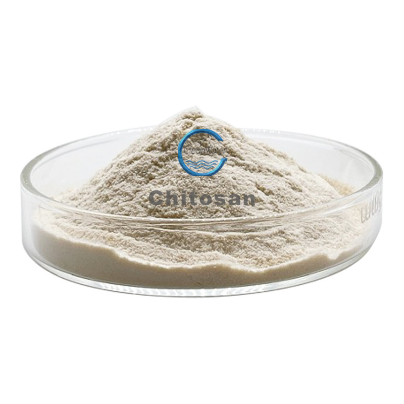 High Molecular Weight Good Price Bulk Chitosan Powder Oligosaccharide Water Soluble
