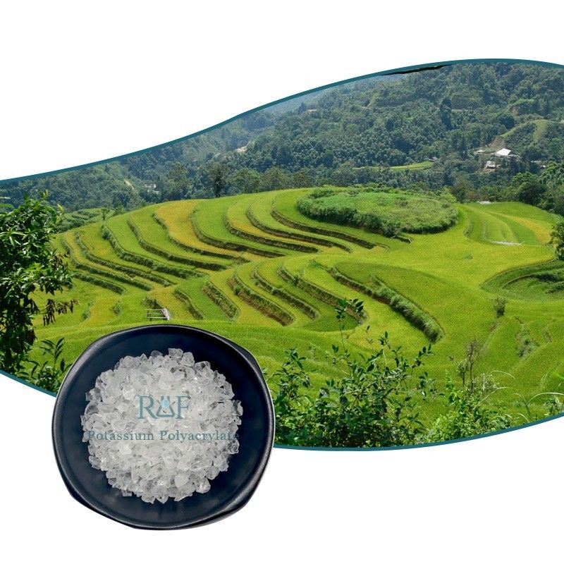 208-750-2 SAP Potassium Polyacrylate Super Absorbent Polymer 9003-04-7 Odorless Realfine 99.9%
