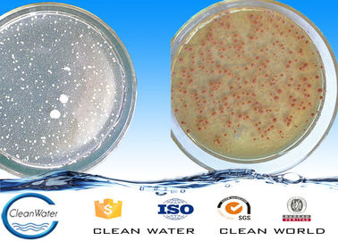 Powder Cod Degradation Bacterial Agents Ph 5.5~9.5 BV ISO For Waste Water Treatment
